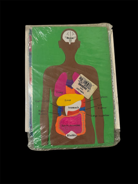 The Human Body by Morgan, Sally; Morgan, Sally